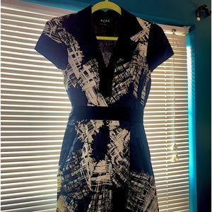 BCBG a-line dress. With pockets! Great for holiday parties and office work.
